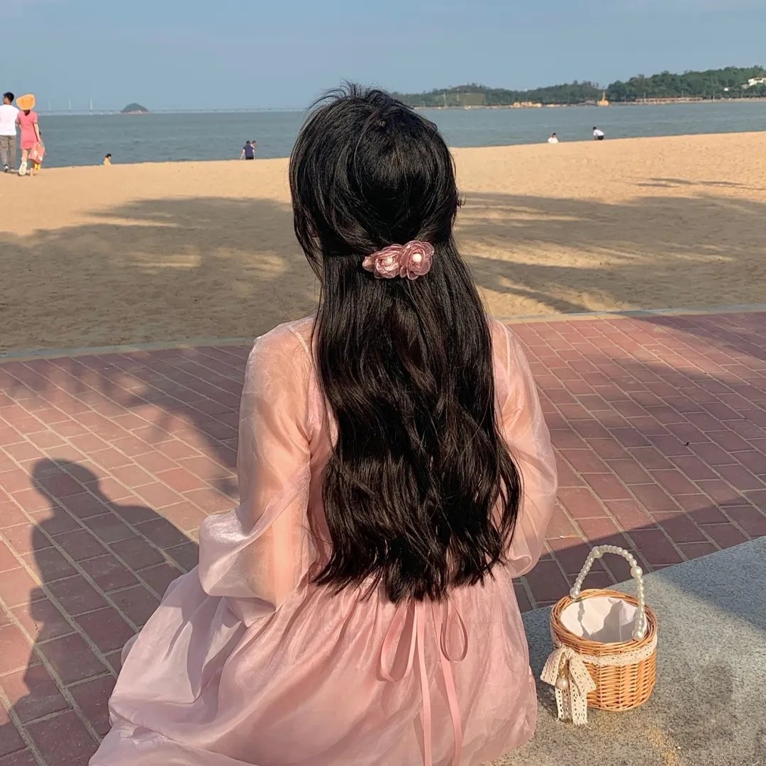 鲨与鲸